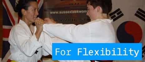 About DAN Taekwondo School Flexibility