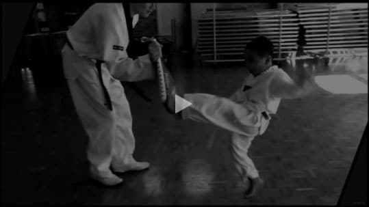 YouTube Link DAN Taekwondo School